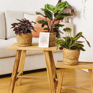 Tabouret bas rectangulaire