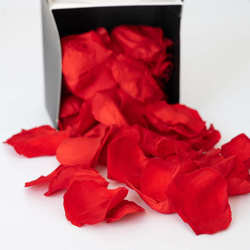 Pétales de roses stabilisées