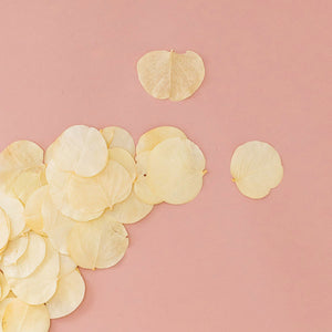 pétale de fleurs séché