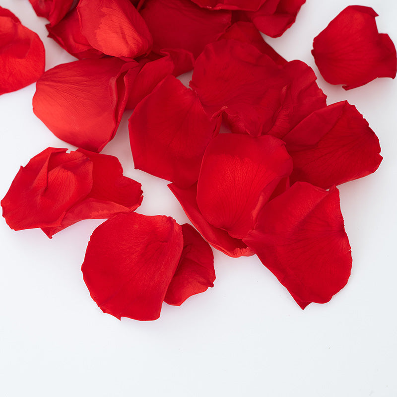 Pétales de roses stabilisées